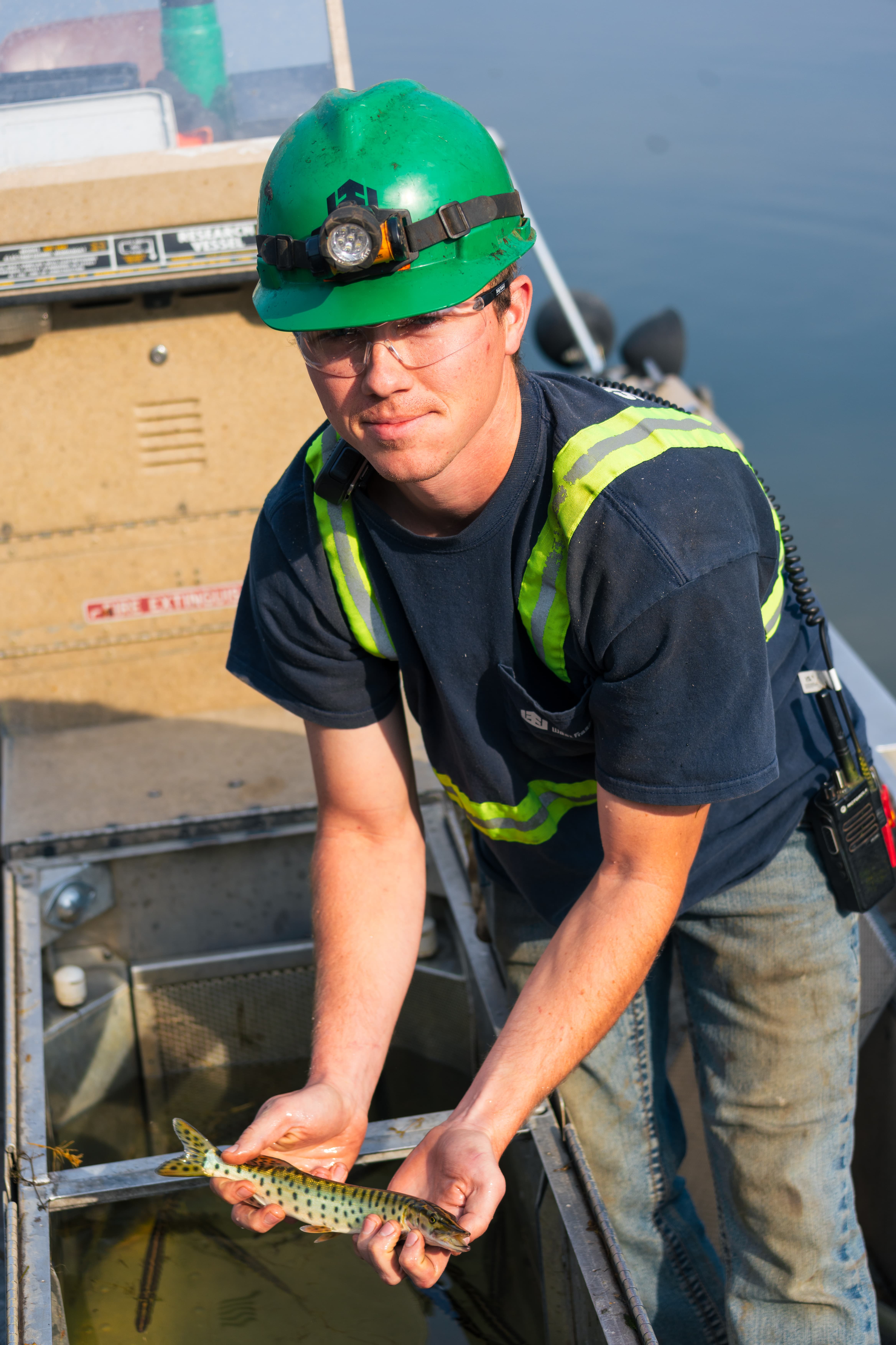A Reclaim Operator, holds a harvested juvenile muskie to be moved to Bemidji Lake.